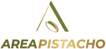 PISTACHO ECOLÓGICO